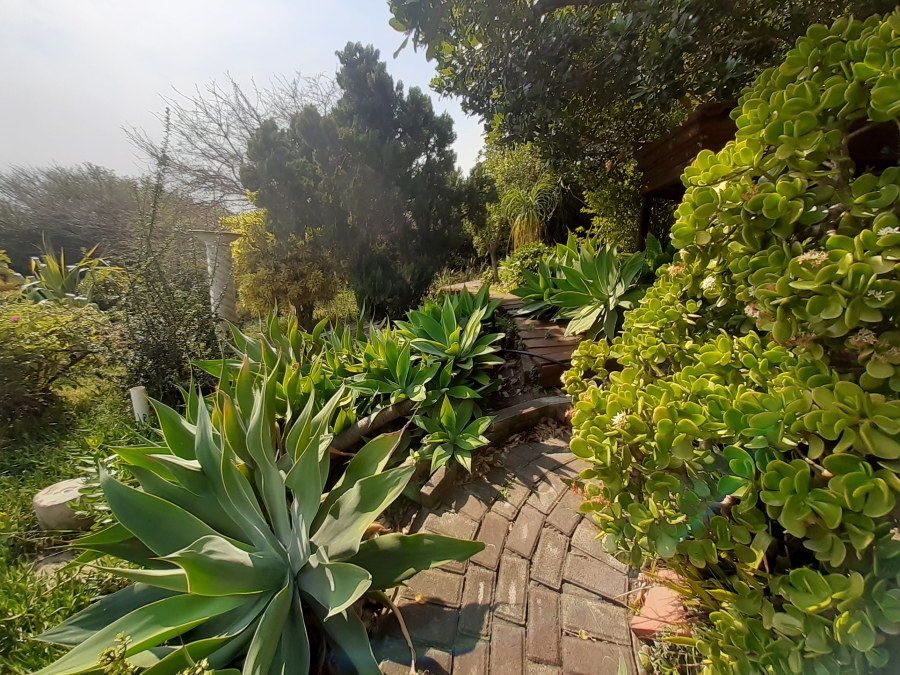 6 Bedroom Property for Sale in Paradise Beach Eastern Cape